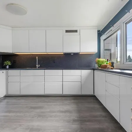 Spacious And Luxurious Appartamento Oslo